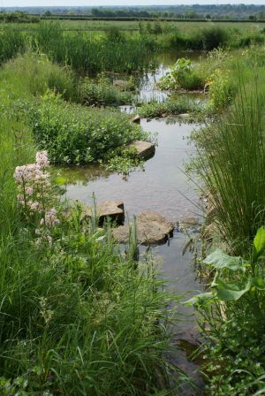 Large naturalistic landscaped pond in Huntingdon, Cambridgeshire