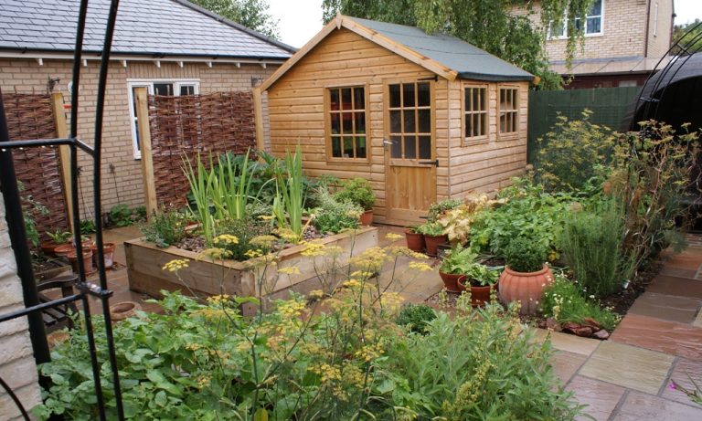An abundant small kitchen garden
